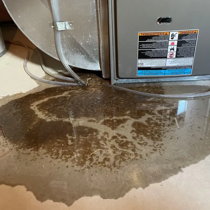 Pipe Burst and Leak Restoration in Waterville, ME
